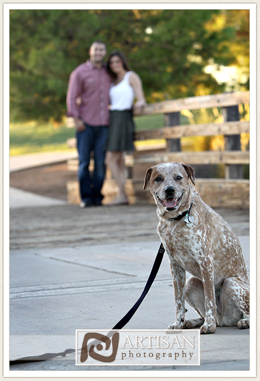 engagement photos at the park in Gilbert couple with their dog - perspective shot