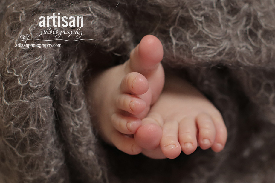 professional photo of newborn baby feet in perspective