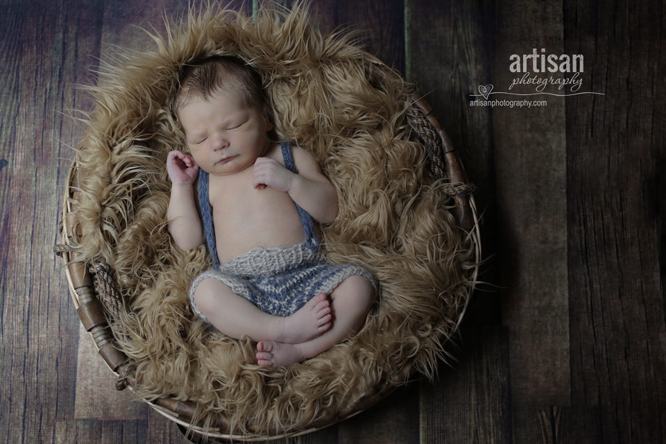 professional photo of newborn baby in basket with caramel fur