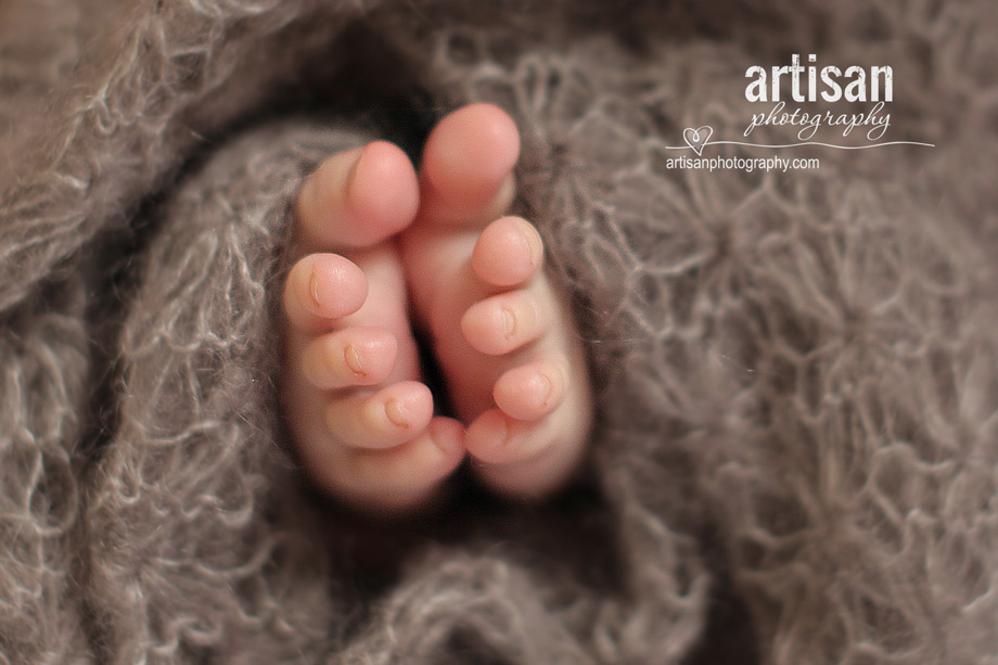 professional photo of newborn baby feet