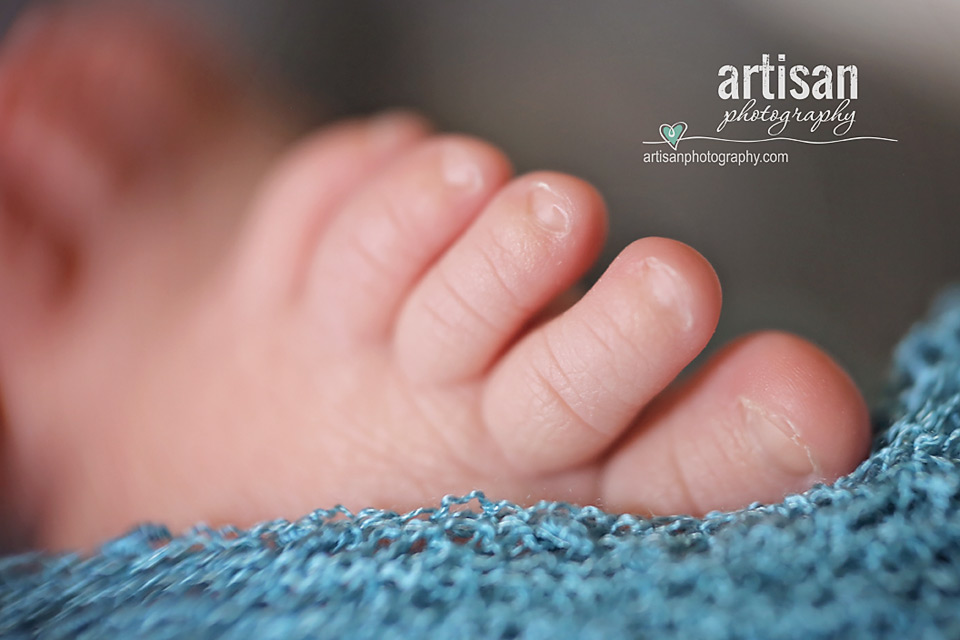 closeup image of baby boy toes with macro lens in Carlsbad California