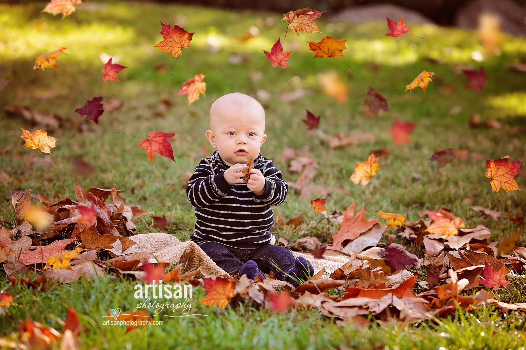 Toddler sitting with fall leaves falling all around him in North county - Carlsbad 