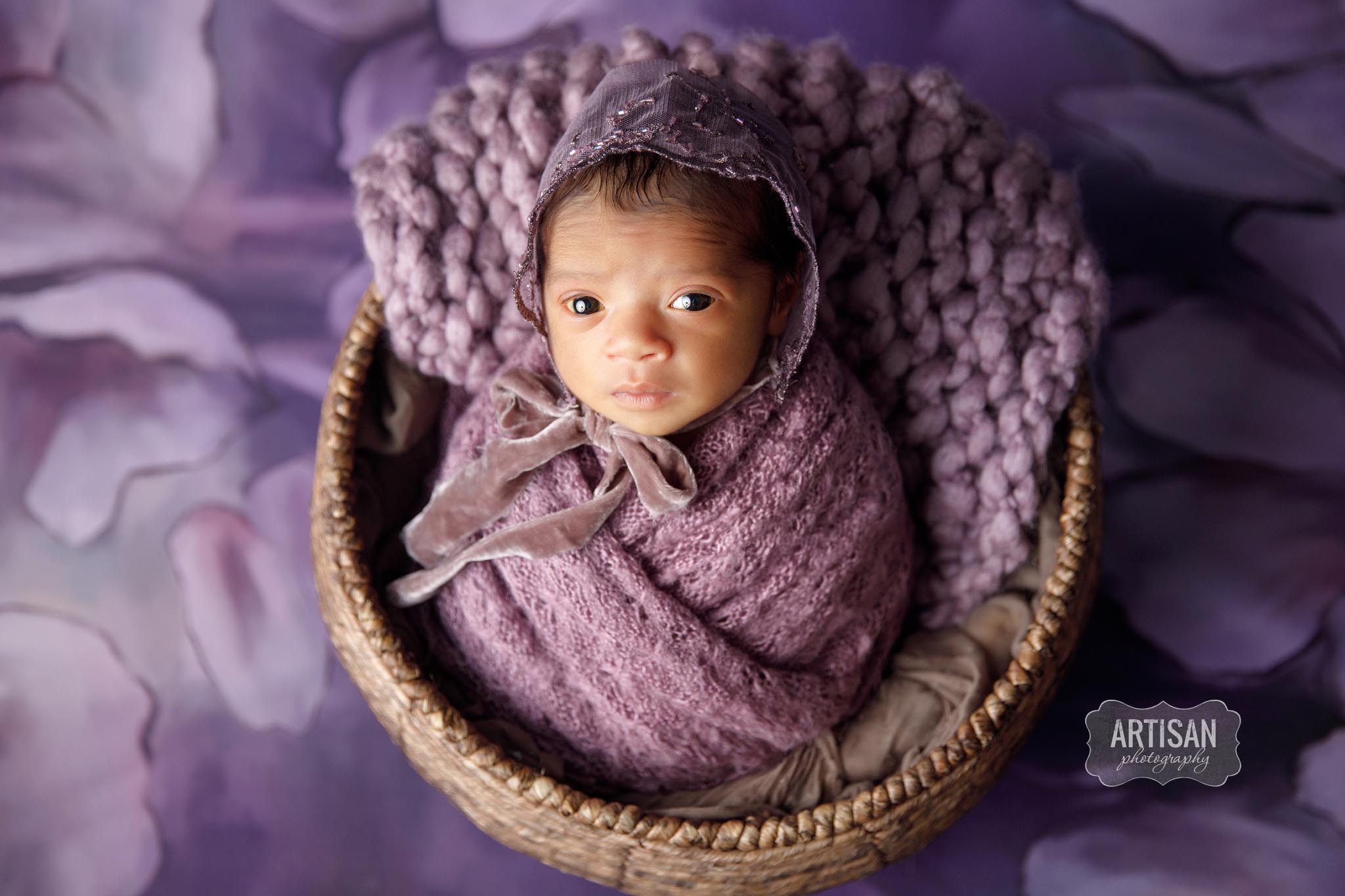 in lavender wrap and in a basket looking at the camera with beautiful large eyes on an artistic purple backdrop.